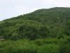 IMG_0090_(Small).JPG