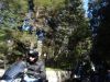 DSC00330.JPG