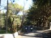 DSC00331.JPG