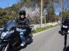 DSC00345.JPG