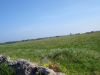 DSC00379.JPG