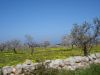DSC00380.JPG