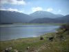 DSCN1482.JPG