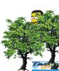simosimpson.jpg