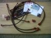 IMG00109-20100810-1847_2.jpg