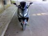 24022009214.jpg